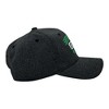 Shenanigans Athletic Department Hat Funny Sarcastic St Patricks Day Graphic Novelty Cap - Crazy Dog Hat for Saint Patrick's Day Black Standard - 2 of 4