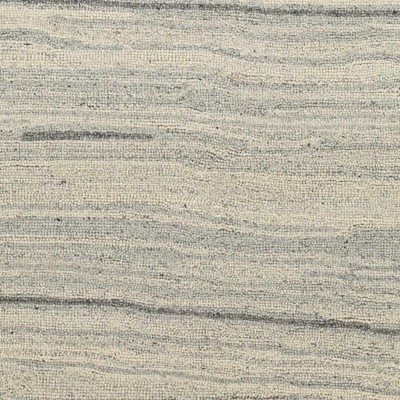 Hauteloom Rectangle Area Rug   Light Gray