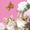 Collections Etc Kittens on a Porch Floral Short Sleeve Graphic Tee - 4 of 4