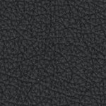 toronto blue jays 1977-1988