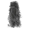 Smiffys Medeia Witch Beehive Grey Wig Costume Accessory - 4 of 4