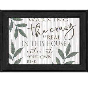 HomeRoots The Crazy is Real Black Framed Print Wall Art - 1 of 3