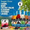 Syruvia Sugar Free Coffee Flavors Variety Pack: Caramel, Mango, Blackberry, Peppermint, Chestnut Praline & Lavender 25.4 fl oz Syrup - 2 of 4