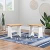 Set of 2 Merrill Small Backless Benches - Linon - 2 of 4