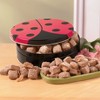 The Swiss Colony Mini Butter Toffee - Chocolate Covered Toffee Candy in Ladybug Tin, 1 lb. 1 oz. net wt. - 2 of 3