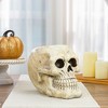 Northlight Halloween Skull Decoration - 11" - Ivory and Black - 2 of 4