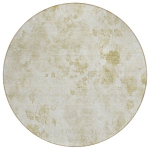 Khaki Beige And Tan Floral Washable Indoor Outdoor Area Rug - 1 of 4