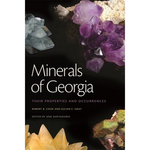 Minerals of Georgia - (Wormsloe Foundation Nature Books) 2nd Edition by  Robert B Cook & Julian C Gray (Paperback) - 1 of 1