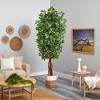 Nearly Natural 7.5-ft Artificial Deluxe Ficus Tree with Handmade Jute & Cotton Basket - 4 of 4