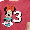 Girls' - Disney - Minnie Birthday 3 Short Sleeve Graphic T-Shirt - 2 of 4