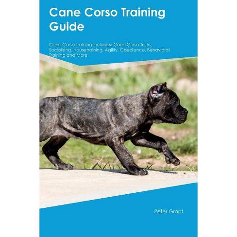 Cane Corso Training Guide Cane Corso Training Includes By William Sanderson Paperback