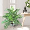 24" x 22" Artificial Phoenix Palm in Ceramic Pot with Stand - LCG Florals - 2 of 4