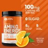 Optimum Nutrition Amino Energy Powder, Pre Workout with Green Tea, BCAA, Amino Acids, and Green Coffee Extract, Orange Cooler, 30 Servings - 3 of 4