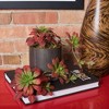 Vickerman Artificial Atropurpureum Plant 3pk Burgundy: Indoor Polyethylene Succulent Leaf Sprays - 2 of 2