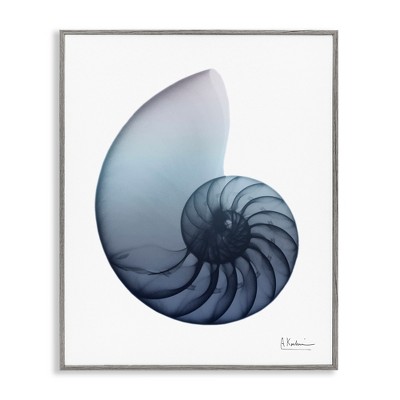 Stupell Industries Contemporary Nautilus Shell, 16" x 20"