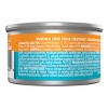 Purina ONE True Instinct Chicken Wet Cat Food - 3oz - image 3 of 4