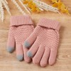 Hadley Wren Bailey Knit Gloves - Pink - 2 of 4