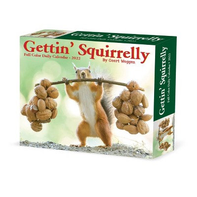 2022 Box Calendar Gettin' Squirrelly - Willow Creek Press