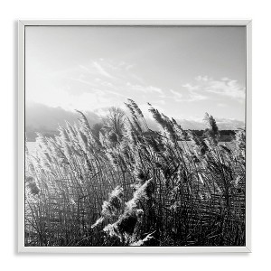 Stupell Industries Tall Grass Lake Water Landscape, 17" x 17" - 1 of 4