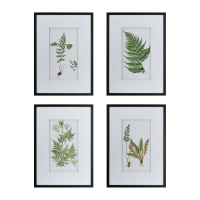 20" x 28" Botanical Fern Wall Art Black/White - A&B Home: Modern Nature-Inspired Decor, Vertical Layout, 4-Piece Set