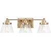 Progress Lighting Hinton 3-Light Vintage Brass Bath Vanity - 4 of 4