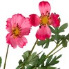 Northlight Cosmos Artificial Floral Sprays - 31" - Hot Pink - Set of 6 - 4 of 4