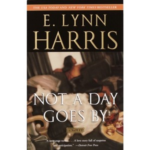 Not a Day Goes By - (Basil and Yancy) by  E Lynn Harris (Paperback) - 1 of 1