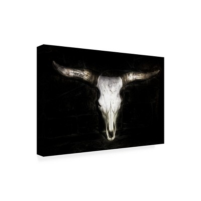 Trademark Fine Art -Phburchett  'Cow Skull' Canvas Art