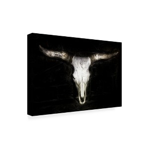 Trademark Fine Art -Phburchett  'Cow Skull' Canvas Art - 1 of 4