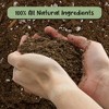 Soil Sunrise Lucky Bamboo Plant Potting Mix, Custom Soil Mix for Repotting - 4 of 4