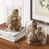 VMG0823 - Martini Glass Vase - 8x 23x 6