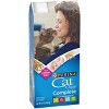 Purina Cat Chow Complete with Chicken Adult Dry Cat Food - image 4 of 4