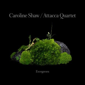 Caroline Shaw - Caroline Shaw: Evergreen (CD) - 1 of 1