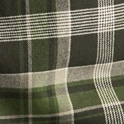 plaid fern