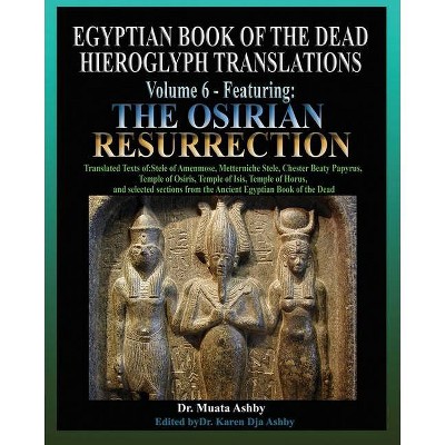 Egyptian Book of the Dead Hieroglyph Translations Volume 6 Featuring The Osirian Resurrection - by  Muata Ashby (Paperback)