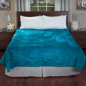 Yorkshire Home Solid Soft Heavy Thick Plush Mink Blanket 8 pound - Aqua - 1 of 4