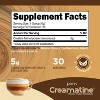 Perk Creamatine (Caramel Macchiato)- 30 Servings, Flavored Creatine Monohydrate, 5g Creatine per Serving, Naturally Sweetened, Zero Sugar, Gluten-Free - 2 of 4