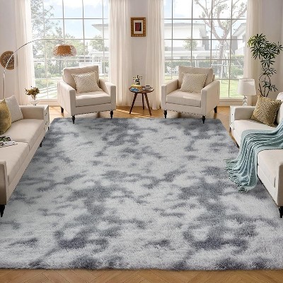 Fluffy Area Rug- Shag Area Rug for Living Room, Shaggy Large Indoor Thick Living Room Carpet with Non-Slip Backing, Soft Plush Carpet