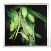 20"x20" Set of 2 Botanical Photography Framed Wall Arts Green/Black - A&B Home: Modern Style, MDF & Glass, Vertical Orientation - 3 of 3