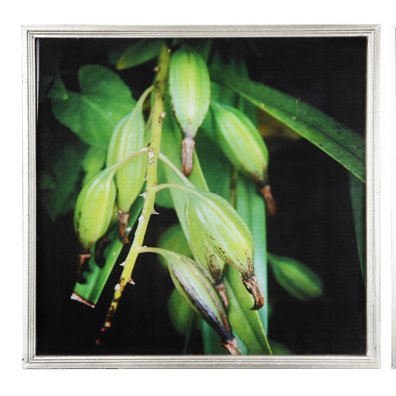 20&#34;x20&#34; Set of 2 Botanical Photography Framed Wall Arts Green/Black - A&#38;B Home, 4 of 5