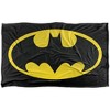 Kids' Batman Classic Logo Silky Touch Blanket White 36X58 - 2 of 4
