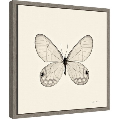 Amanti Art Butterfly I BW Crop by Debra Van Swearingen Canvas Wall Art Print Framed 16-in. x 16-in.