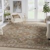 Nourison Petra Oramental Indoor Rug - 2 of 4