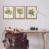 Stupell Industries Les Palmiers Botanical Trio, 17" x 21" - 2 of 4