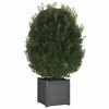 vidaXL Garden Planters 2 pcs Gray 15.7"x15.7"x15.7" Solid Wood Pine - 3 of 4