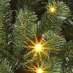 with lights