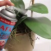 Floral Home Artificial Plant & Flower Cleaning Spray - 2-Piece - 2 of 4