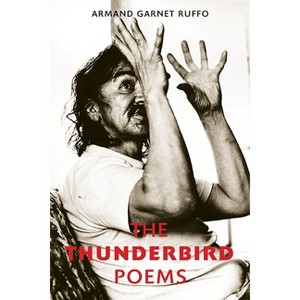 The Thunderbird Poems - by  Armand Garnet Ruffo (Paperback) - 1 of 1