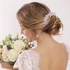 Unique Bargains Women's Decorative Hair Combs 1 Pc - 2 of 4