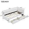 NicBex Twin Size Upholstered Daybed with 2 Drawers for Bedroom,Living Room,Apartment,No Box Spring Needed - 3 of 4